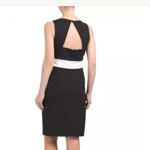 NWT Betsey Johnson color block scuba crepe dress - Picture 3 of 6